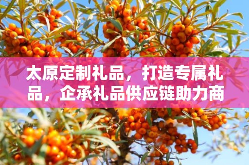 太原定制礼品，打造专属礼品，企承礼品供应链助力商务往来