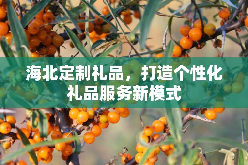 海北定制礼品，打造个性化礼品服务新模式